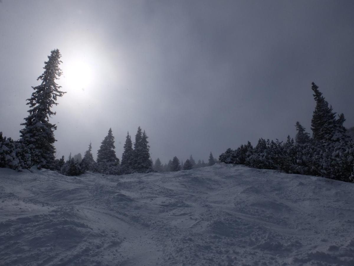 Borovets Apartments, Iglika 2 Εξωτερικό φωτογραφία